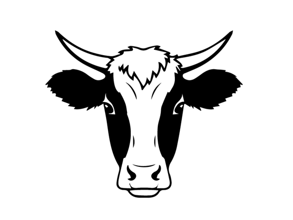 Black and white illustration of a cow's head on a white background
